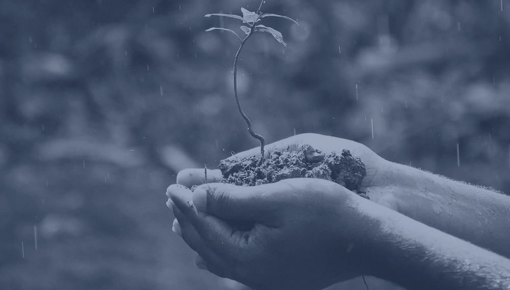 Responsabilidad ambiental